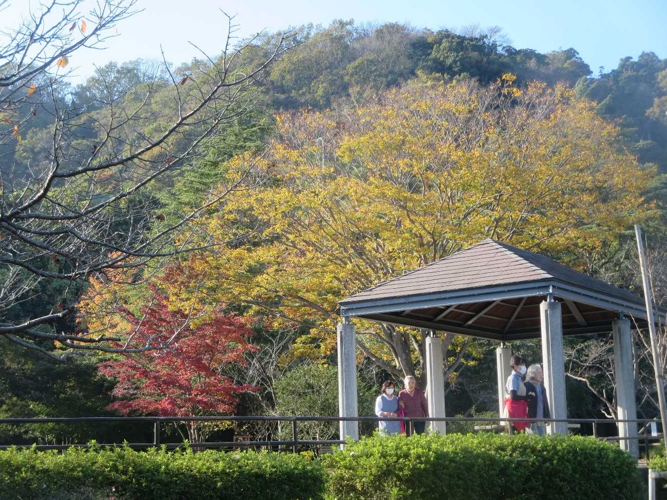 【釜利谷地域ケアプラザ】　やまゆり　草舞台公園へ