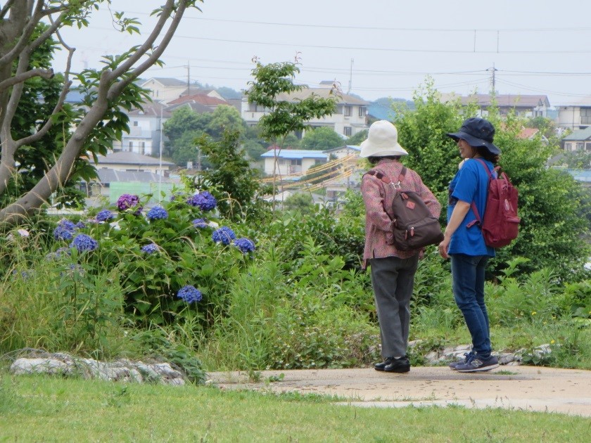 【柳町】やまゆり　6月の活動