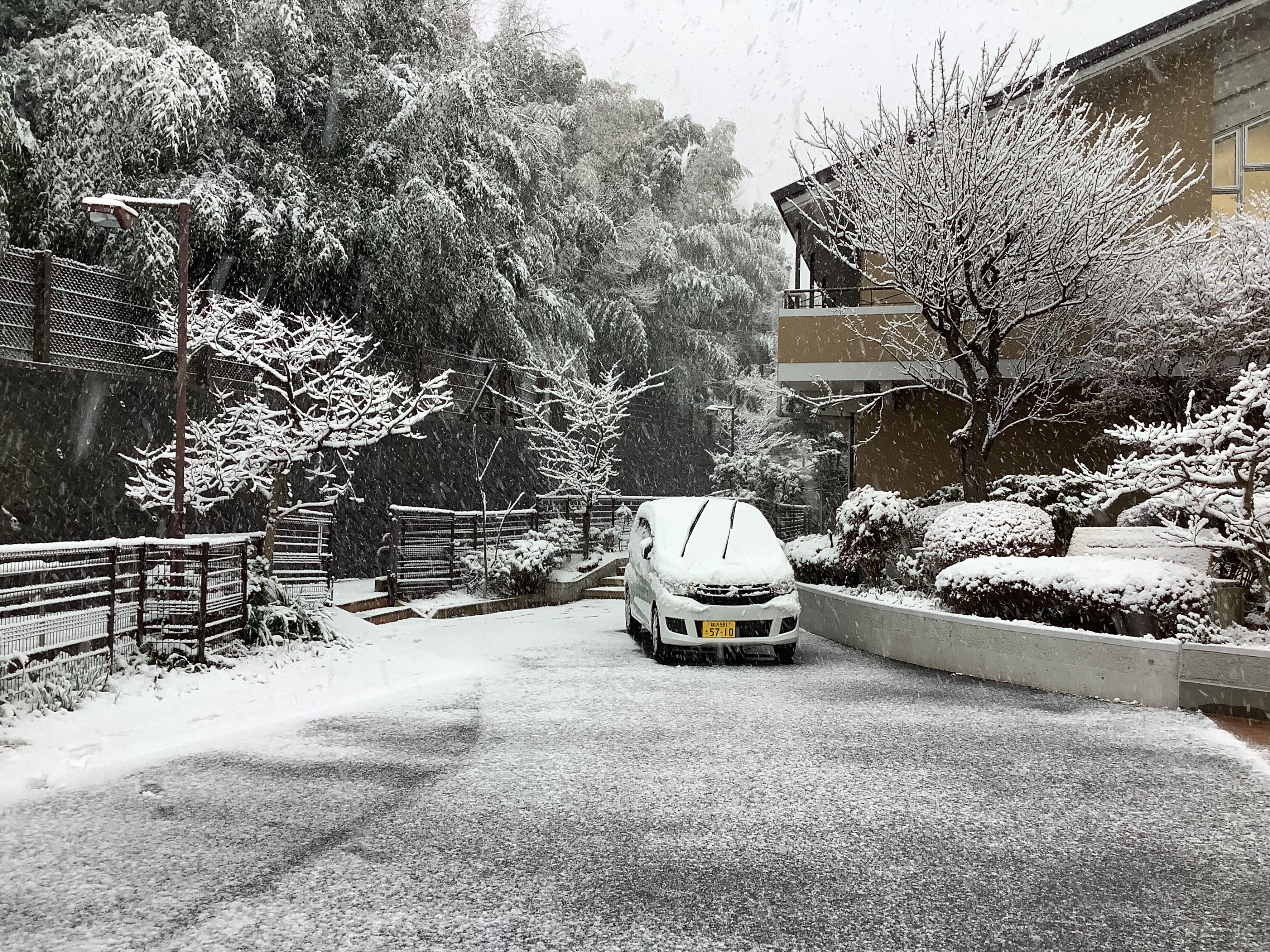 【釜利谷地域ケアプラザ】デイサービス　1月6日　雪