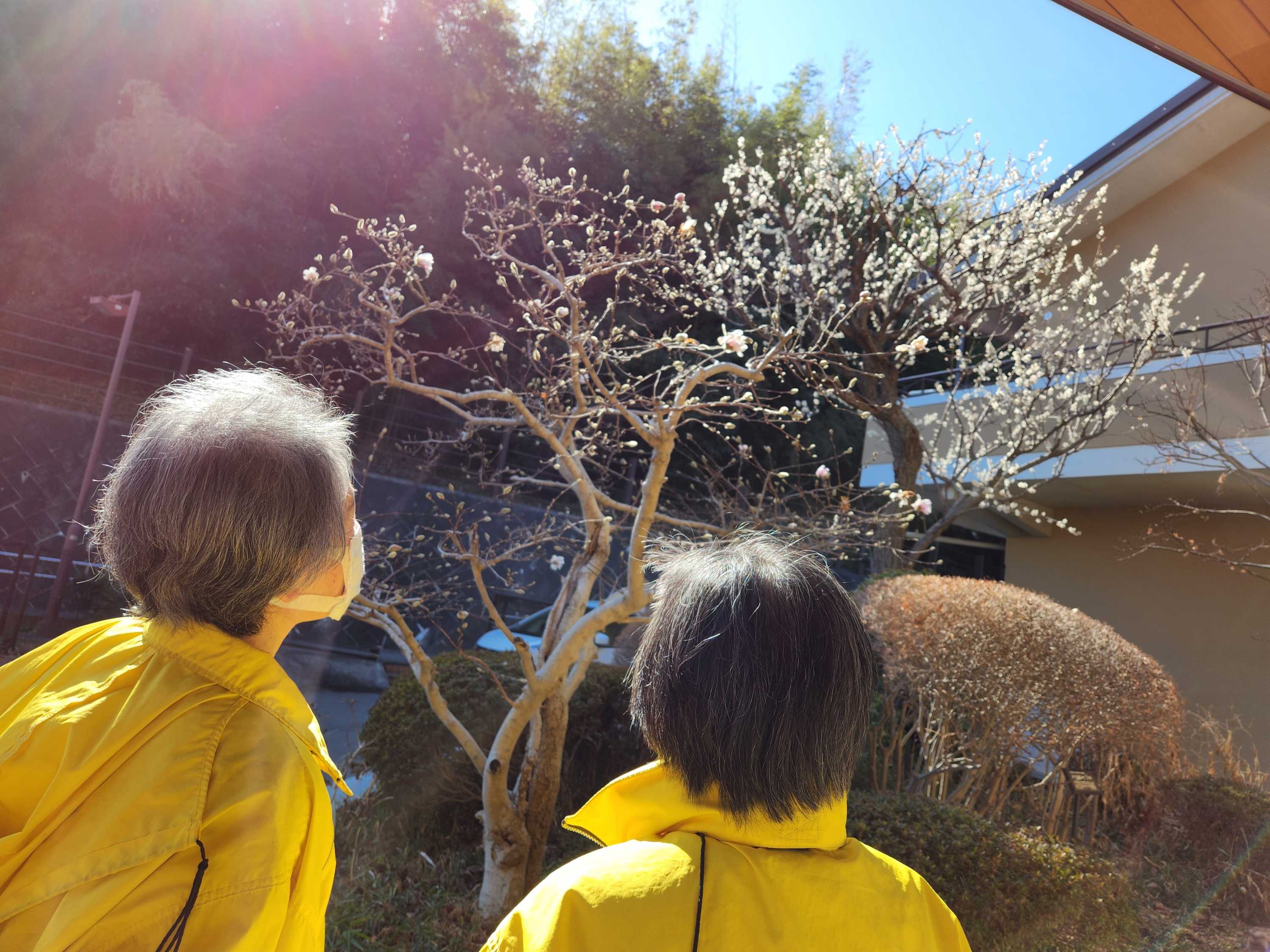 【釜利谷地域ケアプラザ】3月　散歩しながら脚の運動♪パート２♪