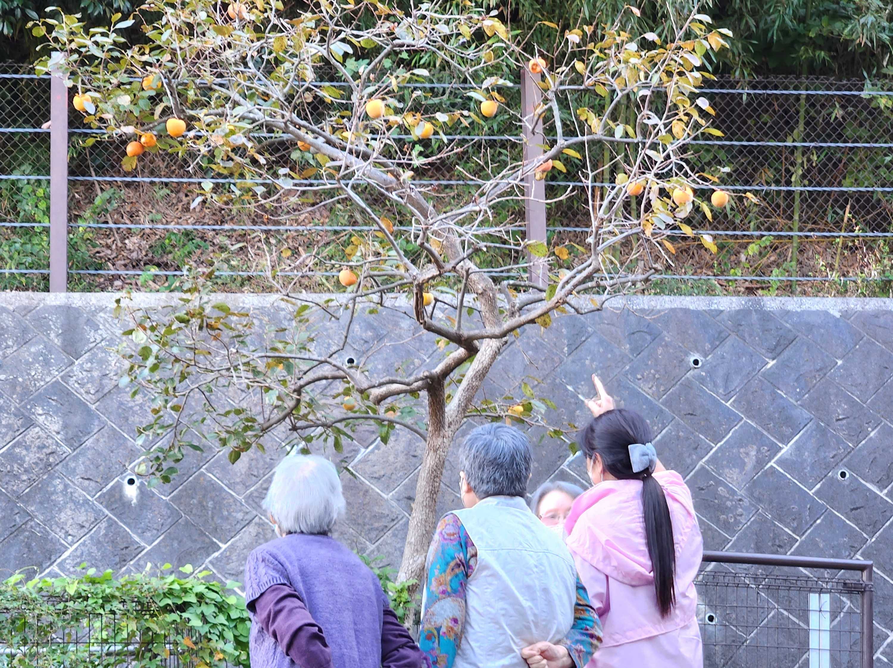 【釜利谷地域ケアプラザ】10月　秋の散歩