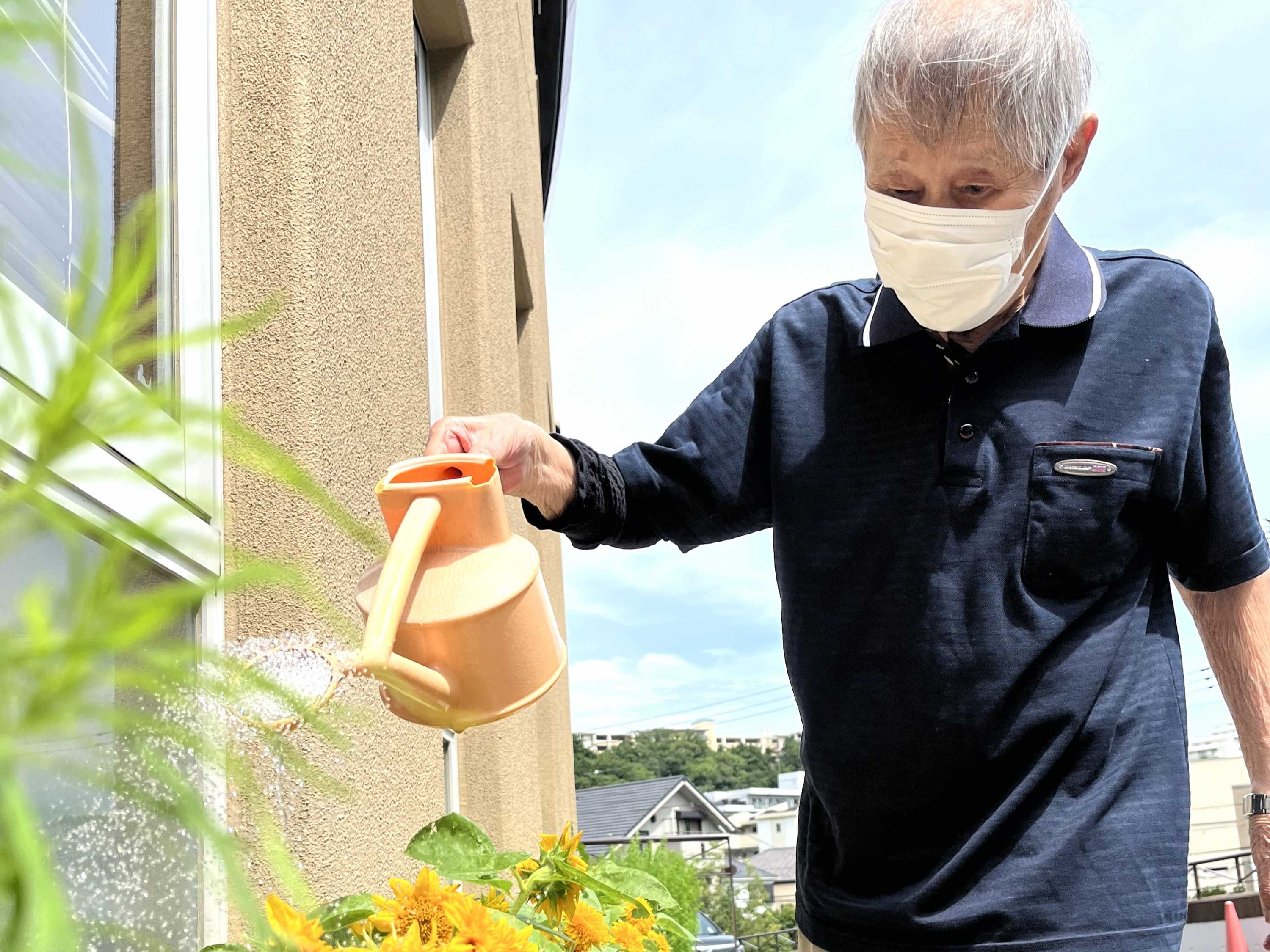 【釜利谷地域ケアプラザ】7月　ひまわり