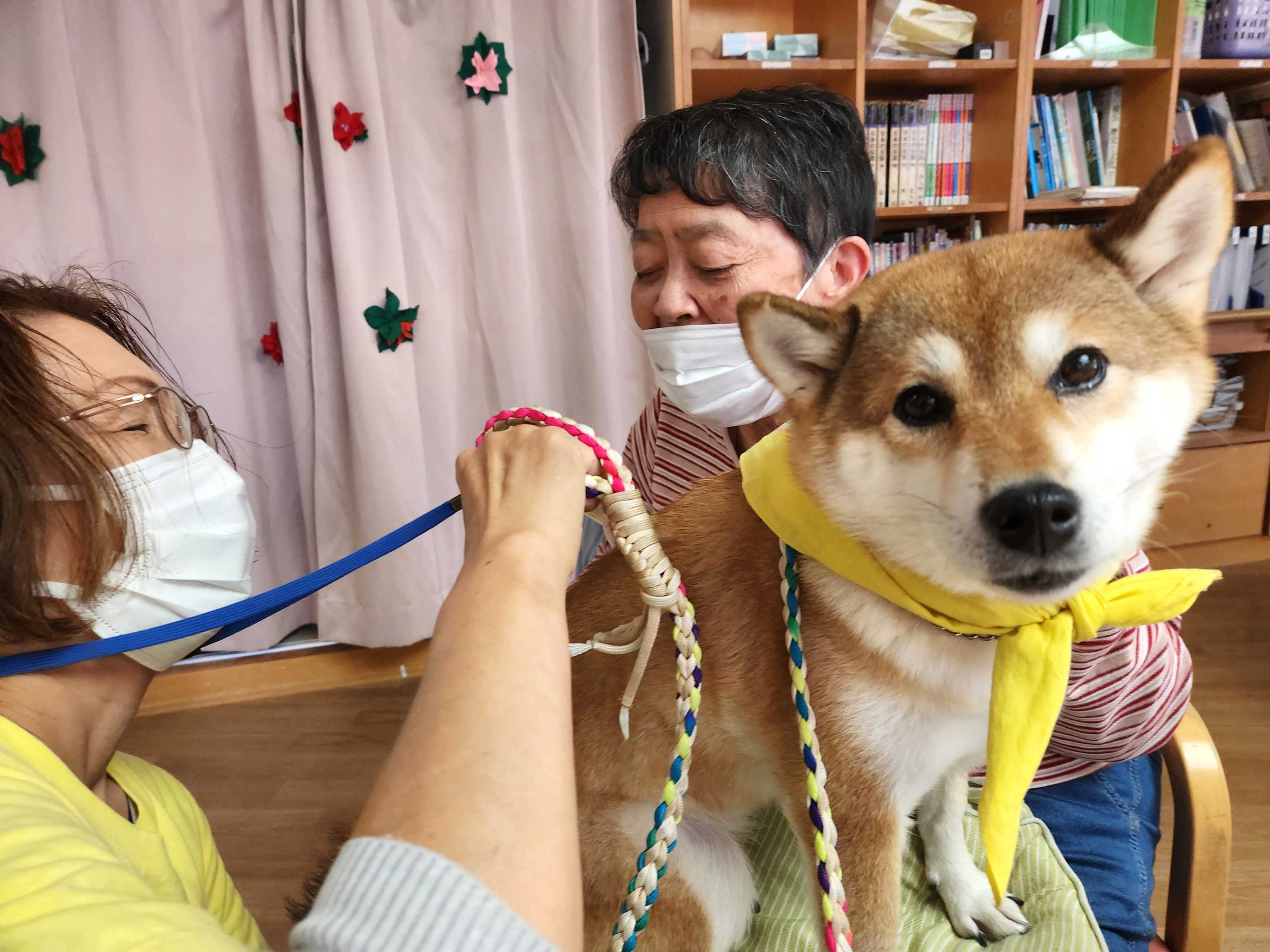【釜利谷地域ケアプラザ】10月　ドッグセラピー