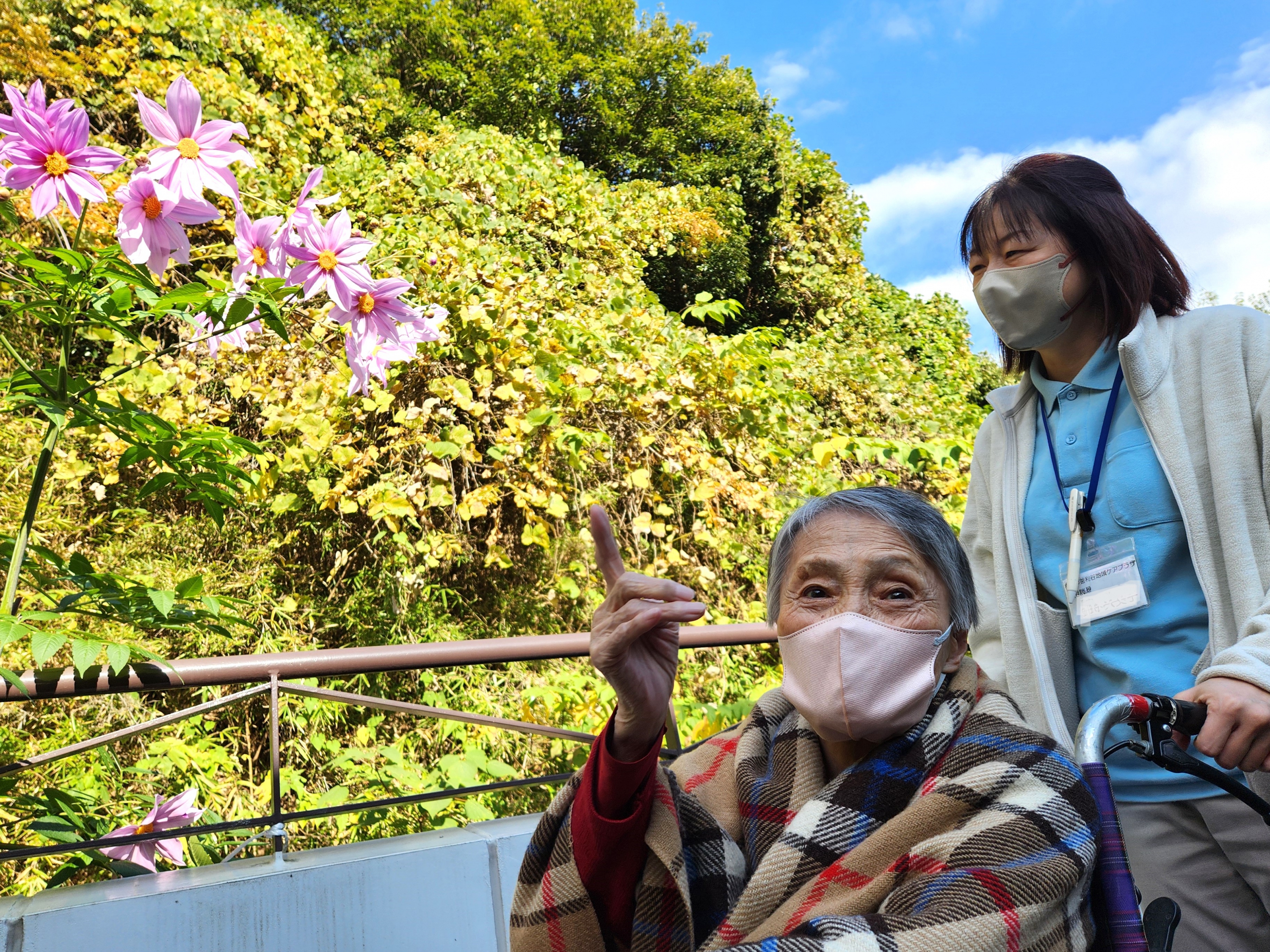 【釜利谷地域ケアプラザ】11月　ローズマリー収穫