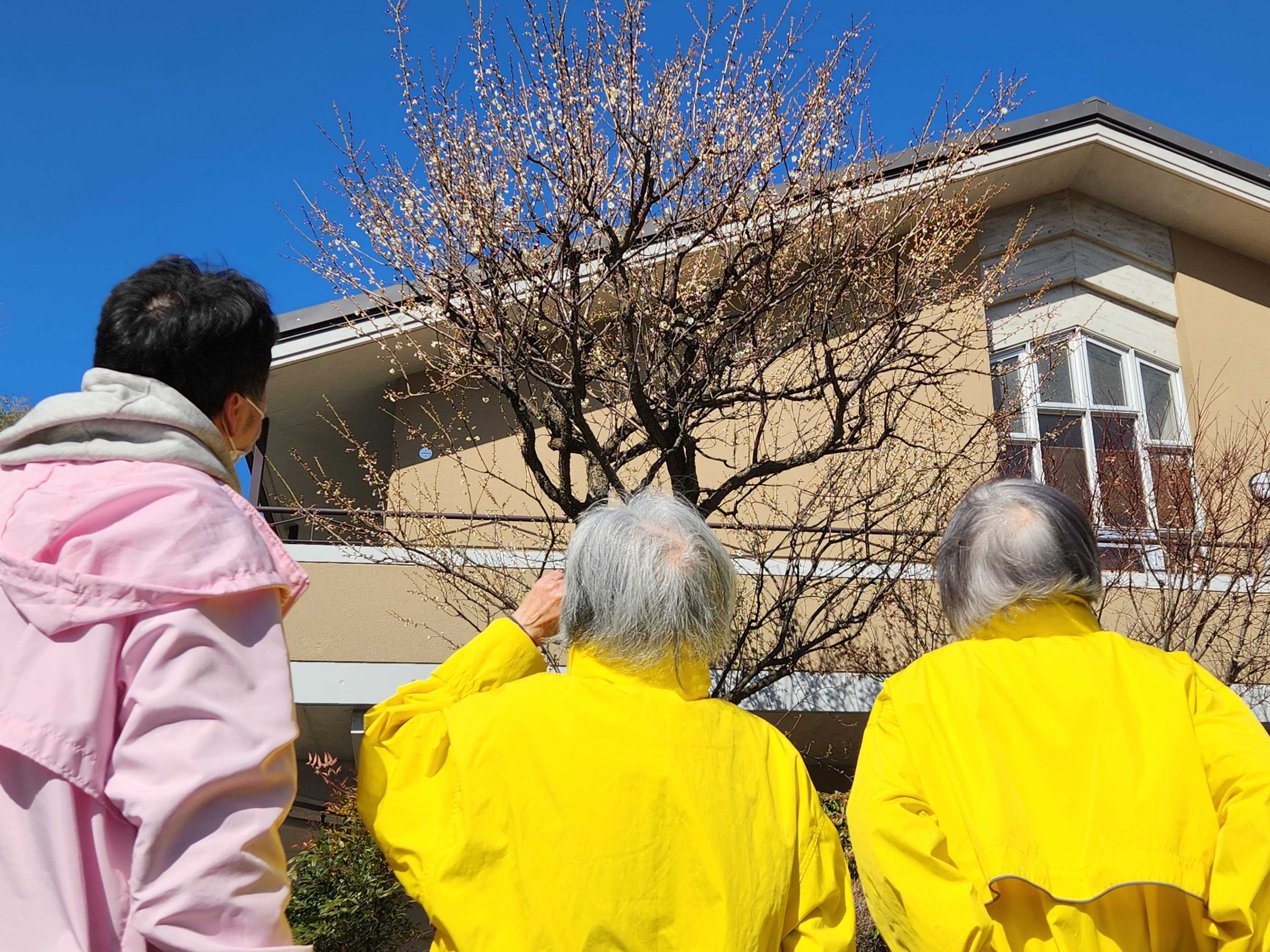 【釜利谷地域ケアプラザ】２月　青空さんぽ♪