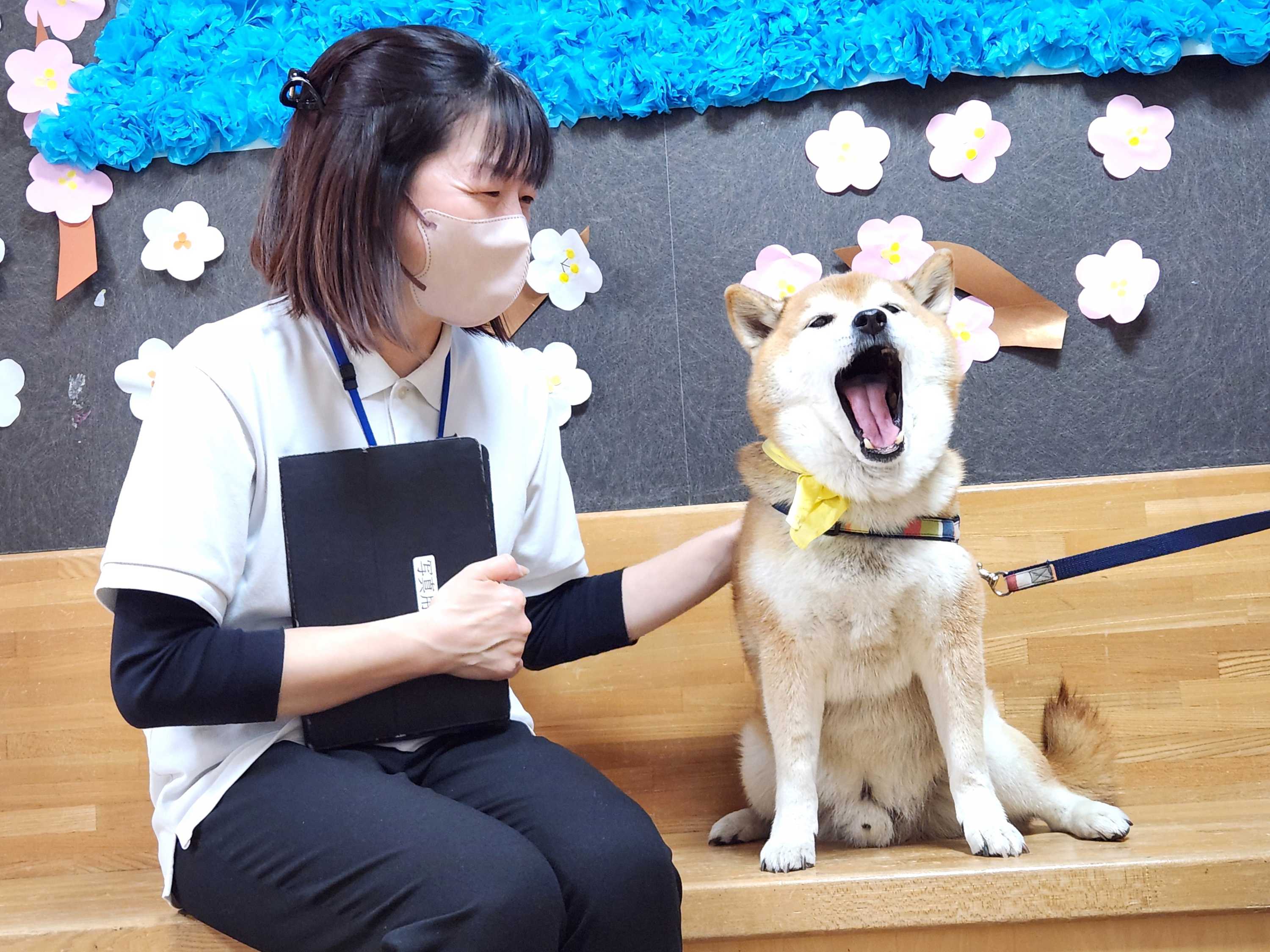 【釜利谷地域ケアプラザ】3月　先月のワンちゃん