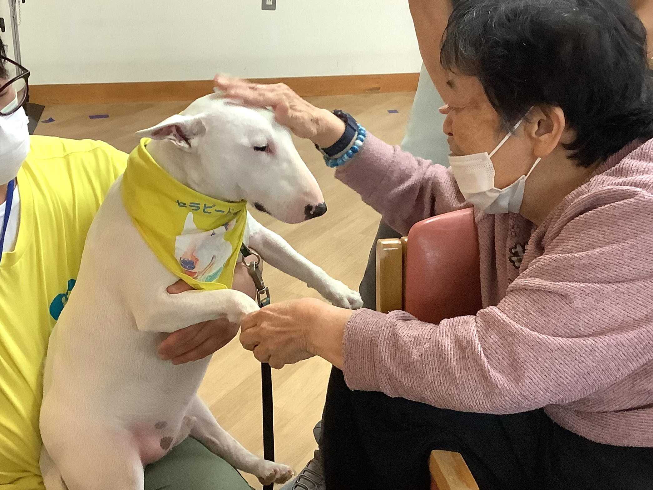 【釜利谷地域ケアプラザ】11/18　今月のドッグセラピー