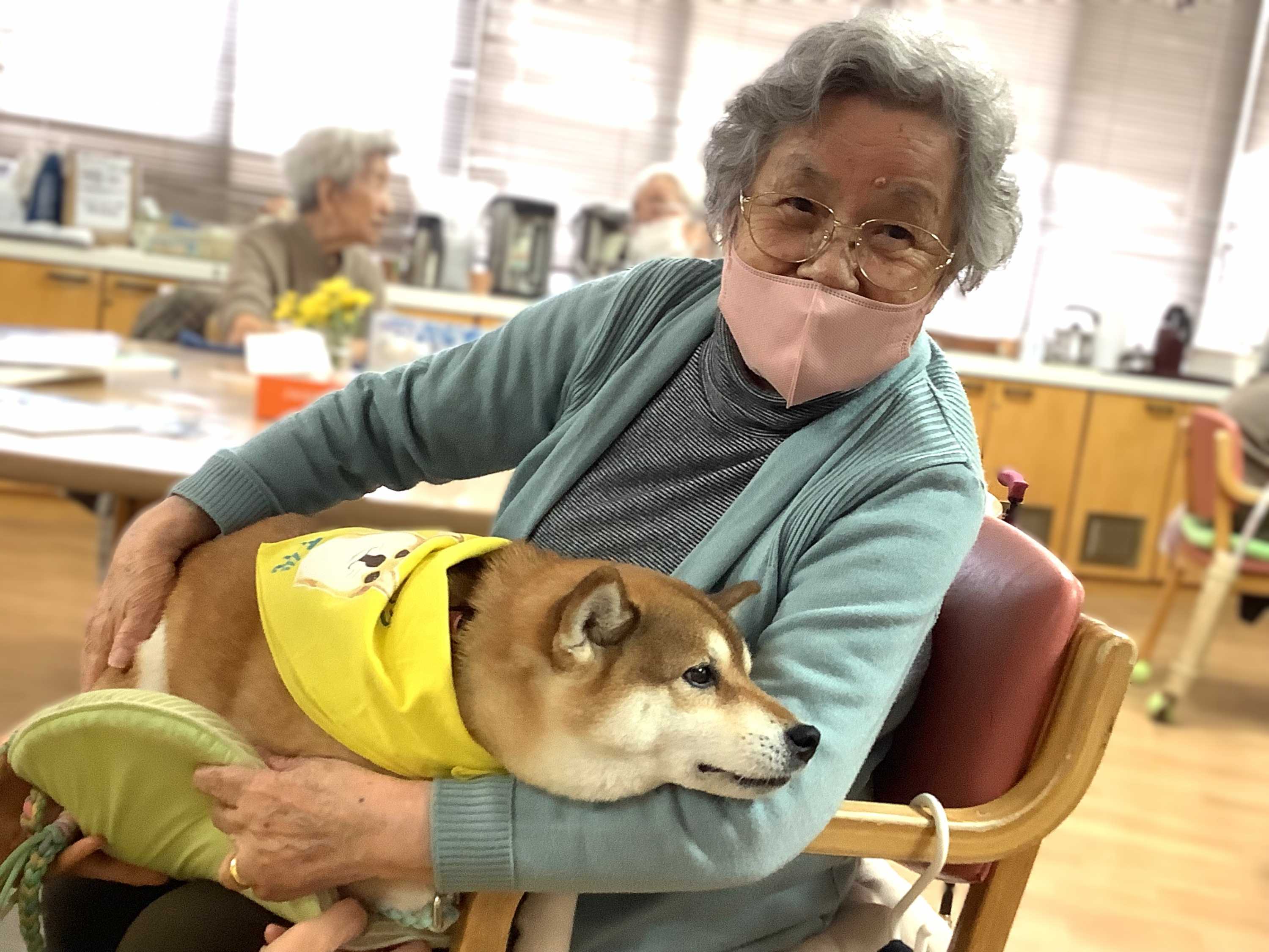 【釜利谷地域ケアプラザ】12/28　かまりやでドッグセラピー犬に癒されるの巻き