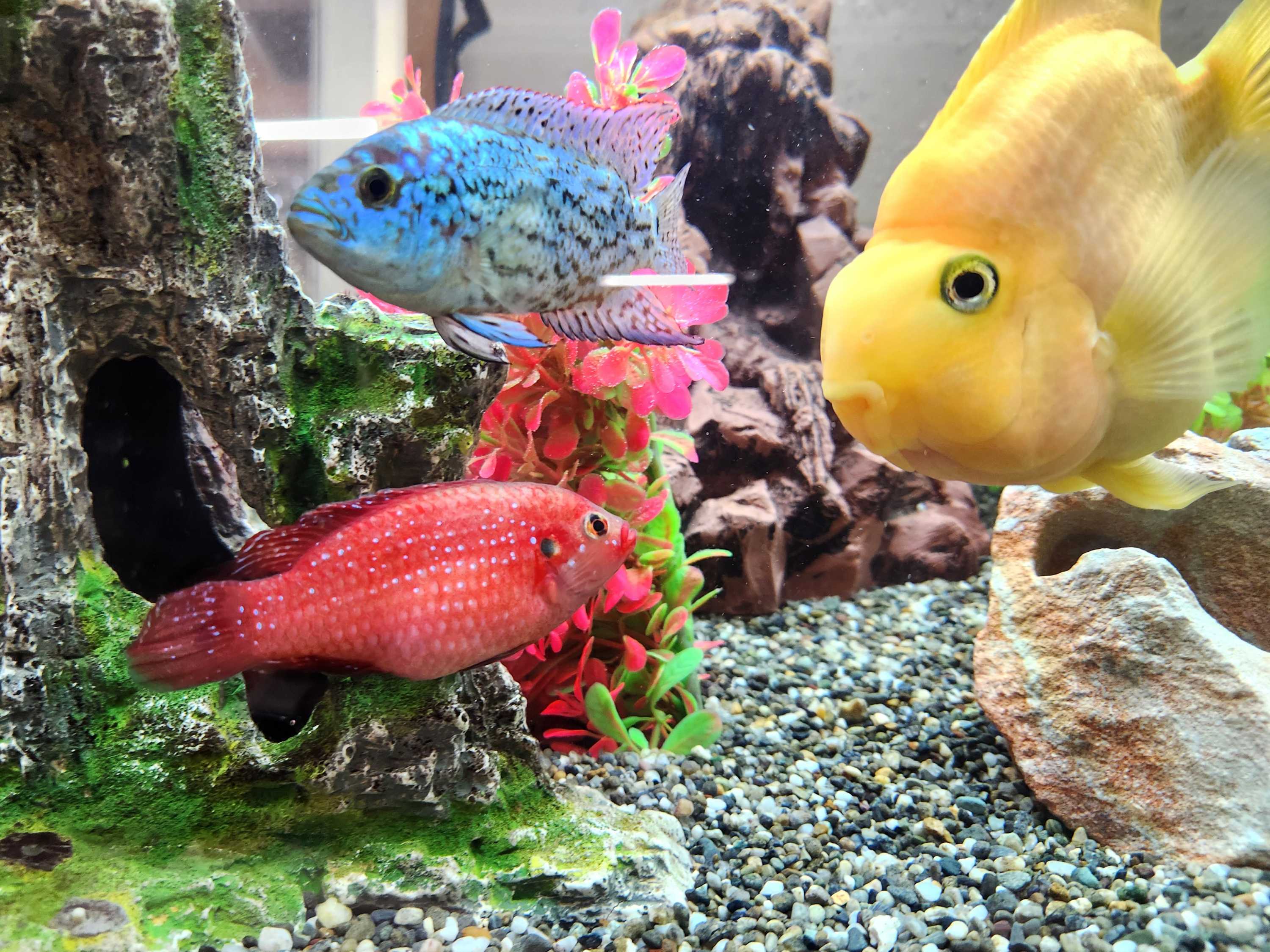 【釜利谷地域ケアプラザ】2/24　１月のデイサービス♪