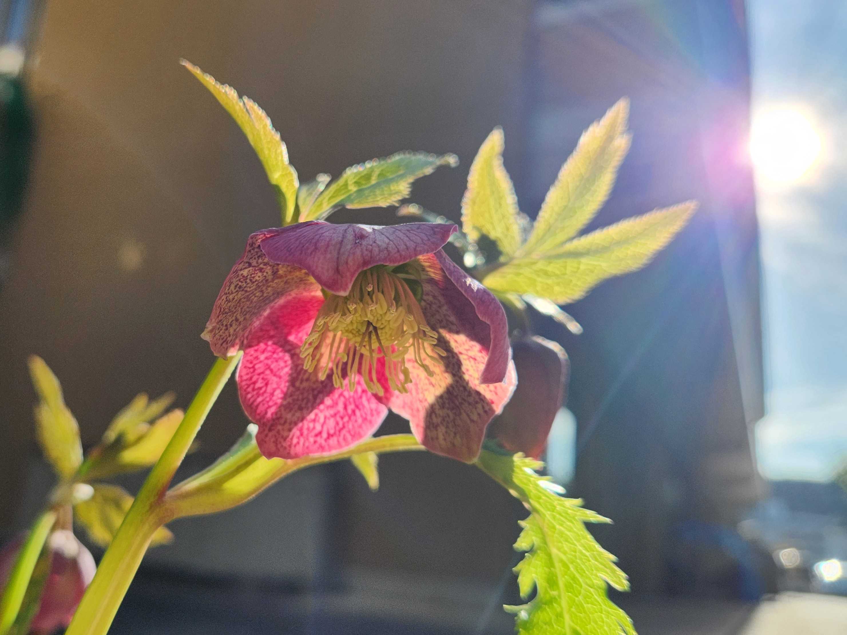 【釜利谷地域ケアプラザ】3/8　春は近い？まだ寒い・・・？