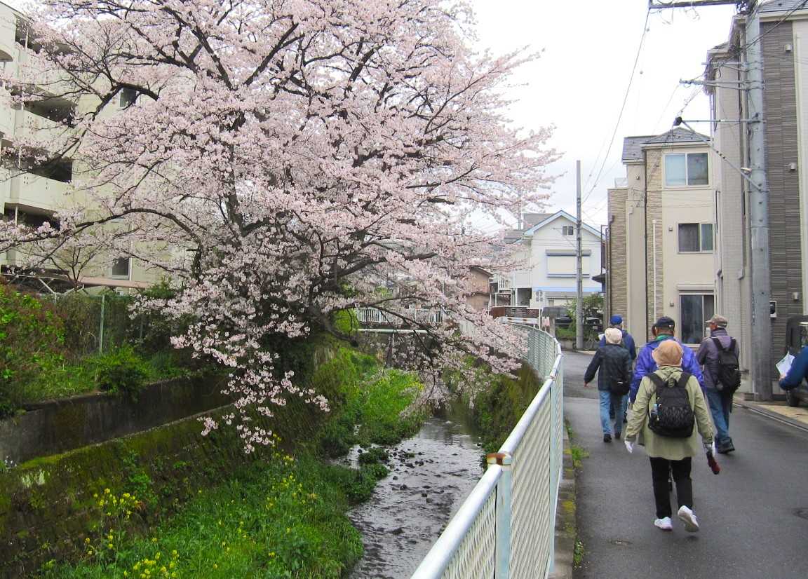【柳町地域ケアプラザ】4/4　てくてく金沢歴史歩き