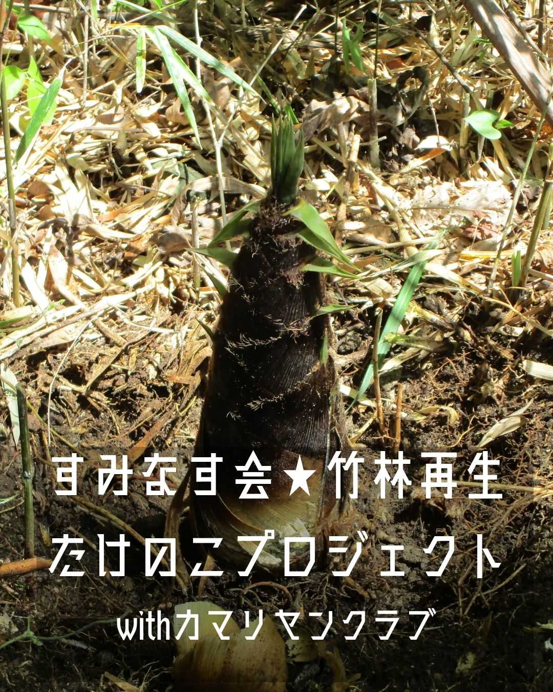 【釜利谷地域ケアプラザ】たけのこプロジェクト