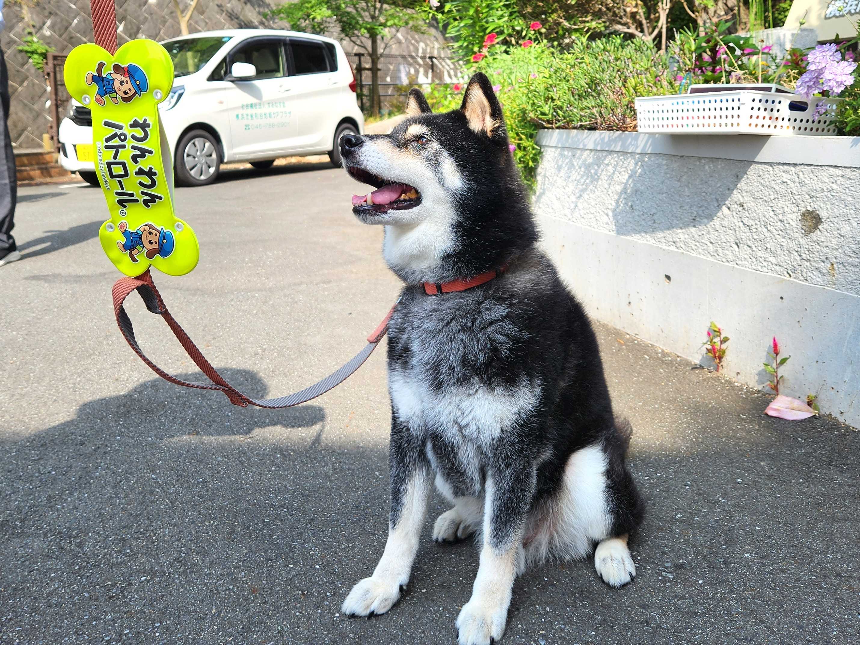 【航・釜利谷ケアプラザ】今日はワンコも一緒に朝のラジオ体操～