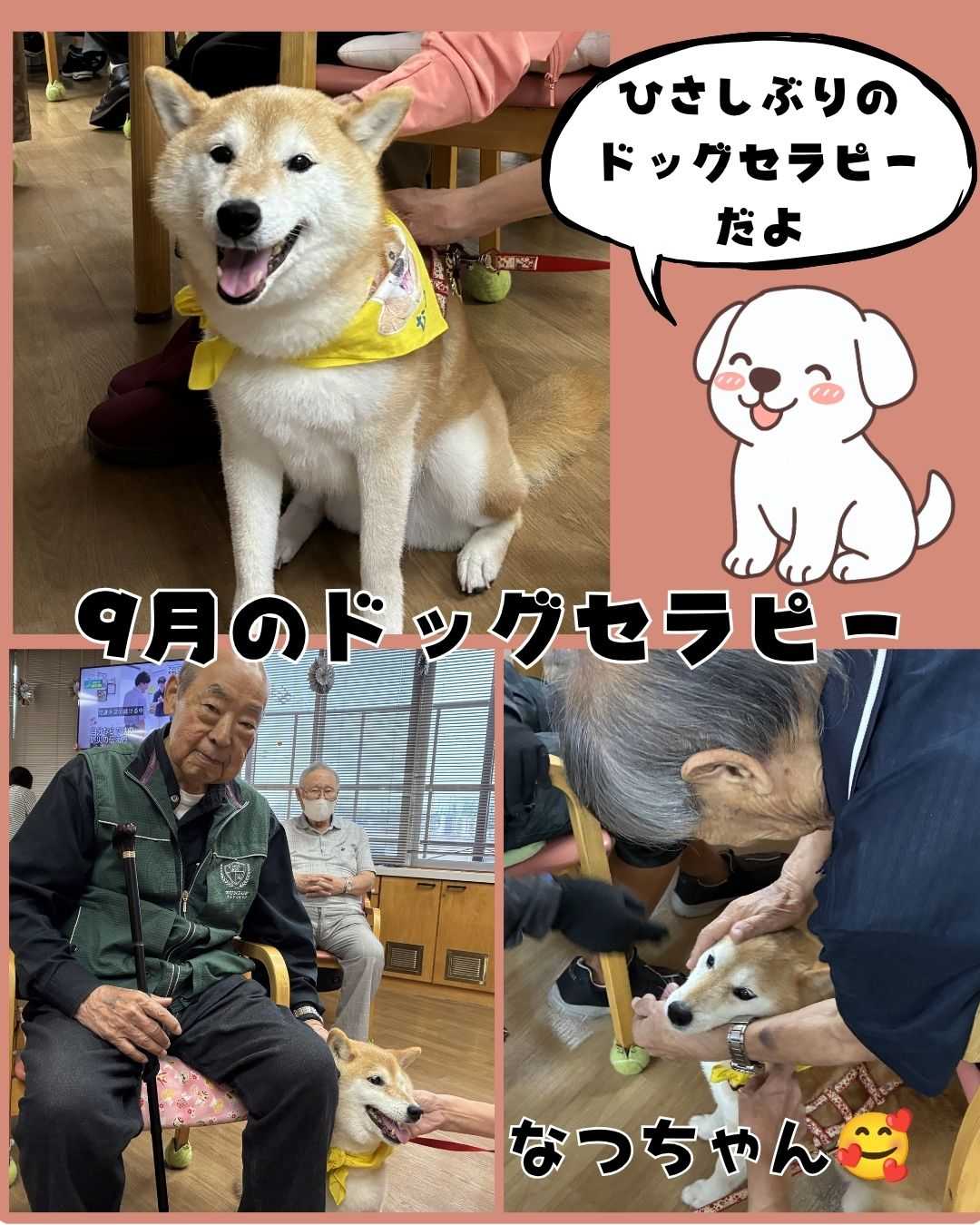 【釜利谷地域ケアプラザ】デイサービス 9月のドッグセラピー