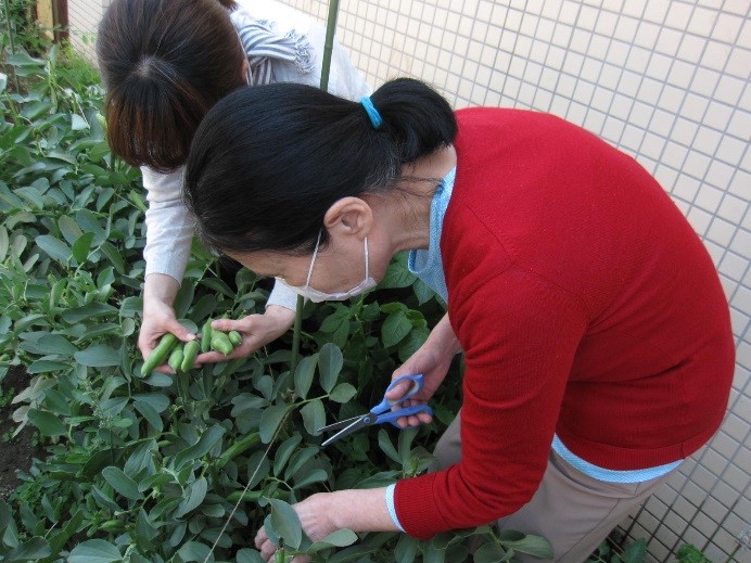 植物の手入れをする利用者さんの様子